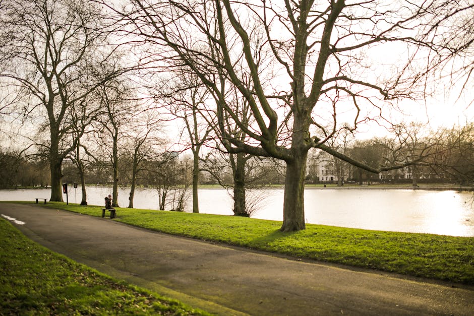A scenic view of Clissold Park featuring a paved pathway running alongside a calm, reflective lake. Several large, leafless trees line the path and lake edge, with their branches extending outward. A person is seated on a bench near the water, possibly relaxing or waiting, while another figure is seen walking along the pathway. The park's lush green grass borders the paved walkway, and in the background, there are trees and distant buildings visible across the lake. The lighting suggests an overcast day, ideal for home relocation planning or packing preparations, with no visible furniture or moving equipment present. This tranquil park setting offers a quiet environment suitable for local house removals and furniture transport activities, as supported by [COMPANY_NAME]’s services in the Clissold Park area.