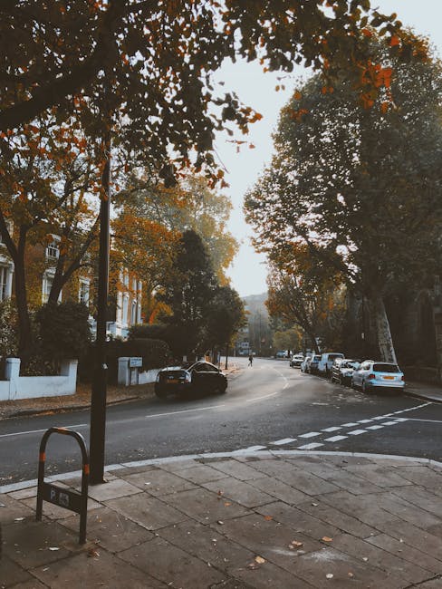 A quiet residential street in the Clissold Park area showing a gentle curve with parked cars lining both sides of the road. The pavement and curb are visible in the foreground, with a social distancing bollard and bike rack at the corner. Leafy trees with autumn foliage extend over the street, casting shadows on the road and sidewalk. In the background, a narrow lane continues into the distance, with a few houses partially visible behind the trees. The scene depicts a calm, suburban environment that may be relevant to home relocation or moving logistics in the Upper Clapton district, as managed by Man with Van Upper Clapton, a professional removals company experienced in furniture transport and packing and moving services.