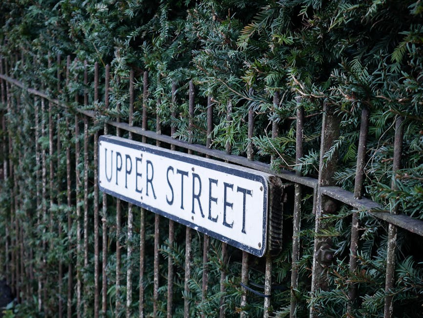 A close-up view of a white, rectangular street sign with black lettering that reads 'UPPER STREET' mounted on a dark metal fence. The fence consists of vertical and horizontal bars showing signs of weathering and rust, positioned in front of dense, green foliage with small, needle-like leaves. The setting appears to be outdoors, likely along a residential or urban street, with natural light illuminating the scene. This image relates to house removals and moving services provided by Man with Van Upper Clapton, reflecting the importance of understanding local street regulations for home relocation and furniture transport in Hackney and Upper Clapton areas.